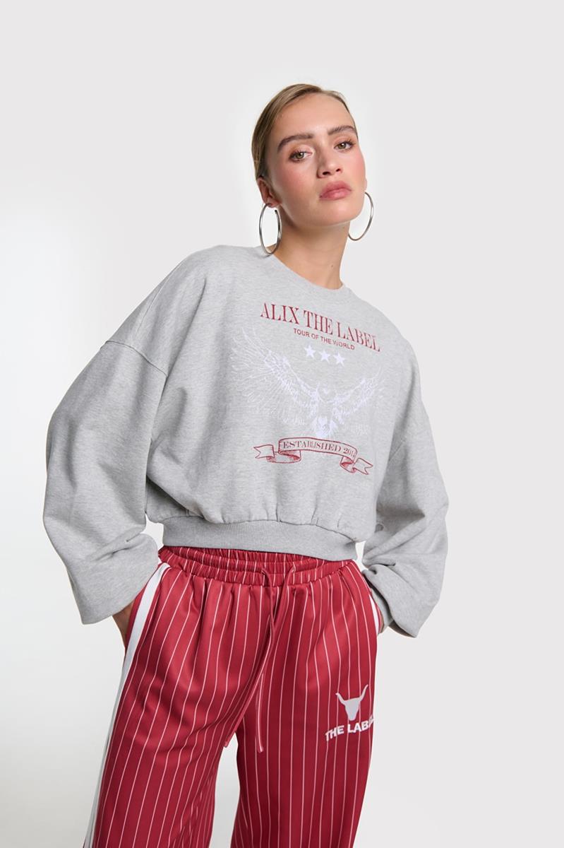 Alix The Label Sweater 2602893603 Grijs 1