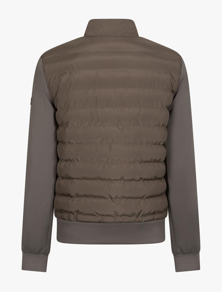 Cavallaro Jack 112261013 Bruin 6