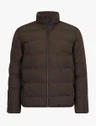 Cavallaro Jas 112265004 Bruin 3