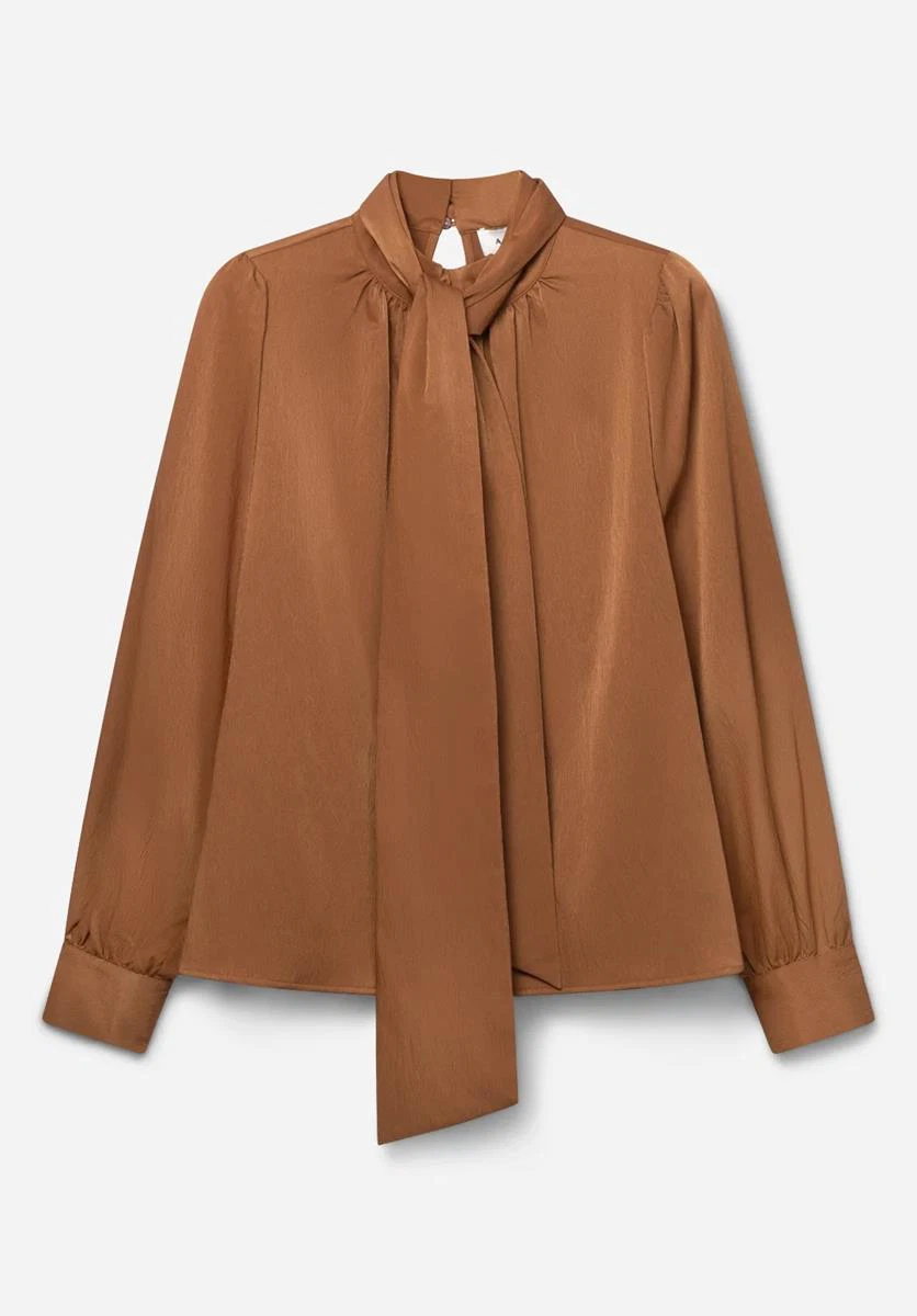 Aaiko Blouse Bowi Bruin 2