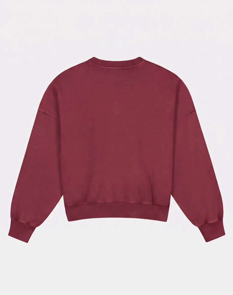 Stieglitz Sweater Basi Rood 3