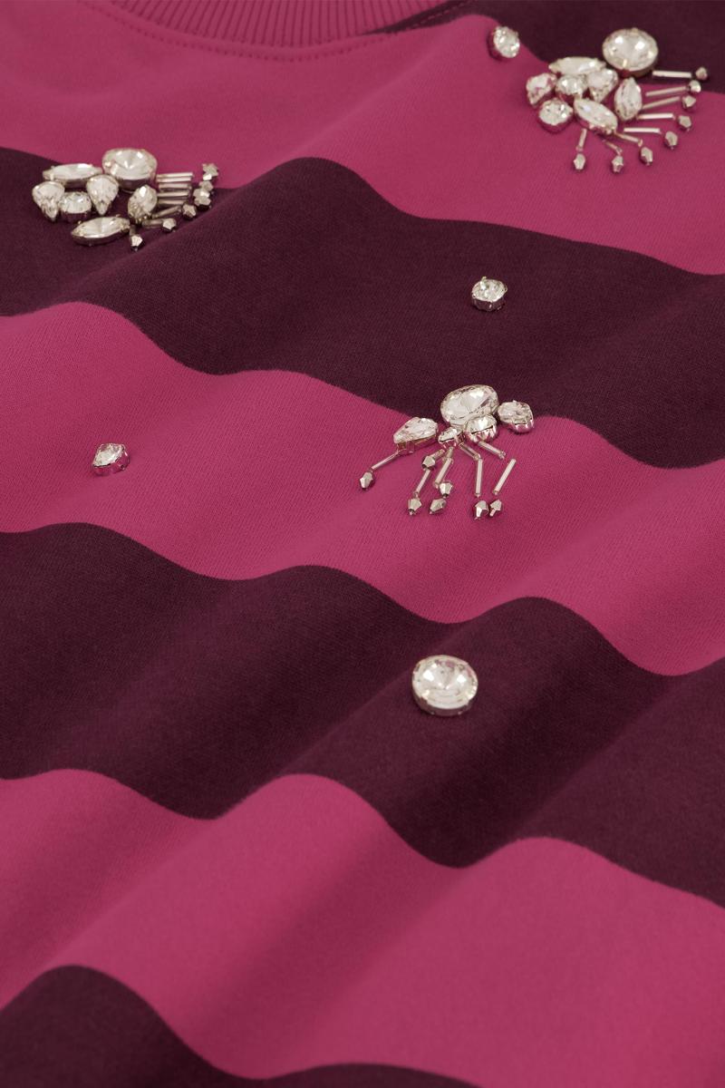 Fabienne Chapot Sweater Ronny Rood 4