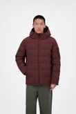 Airforce Jas Mitchell Bruin 1