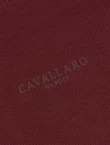 Cavallaro Sweater 120265008 Rood 6