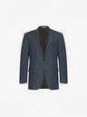 Carl Gross Colbert Steven Blauw 1