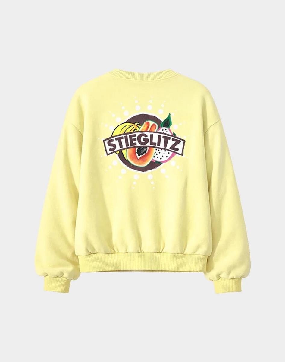 Stieglitz Sweater Cindy Geel  4