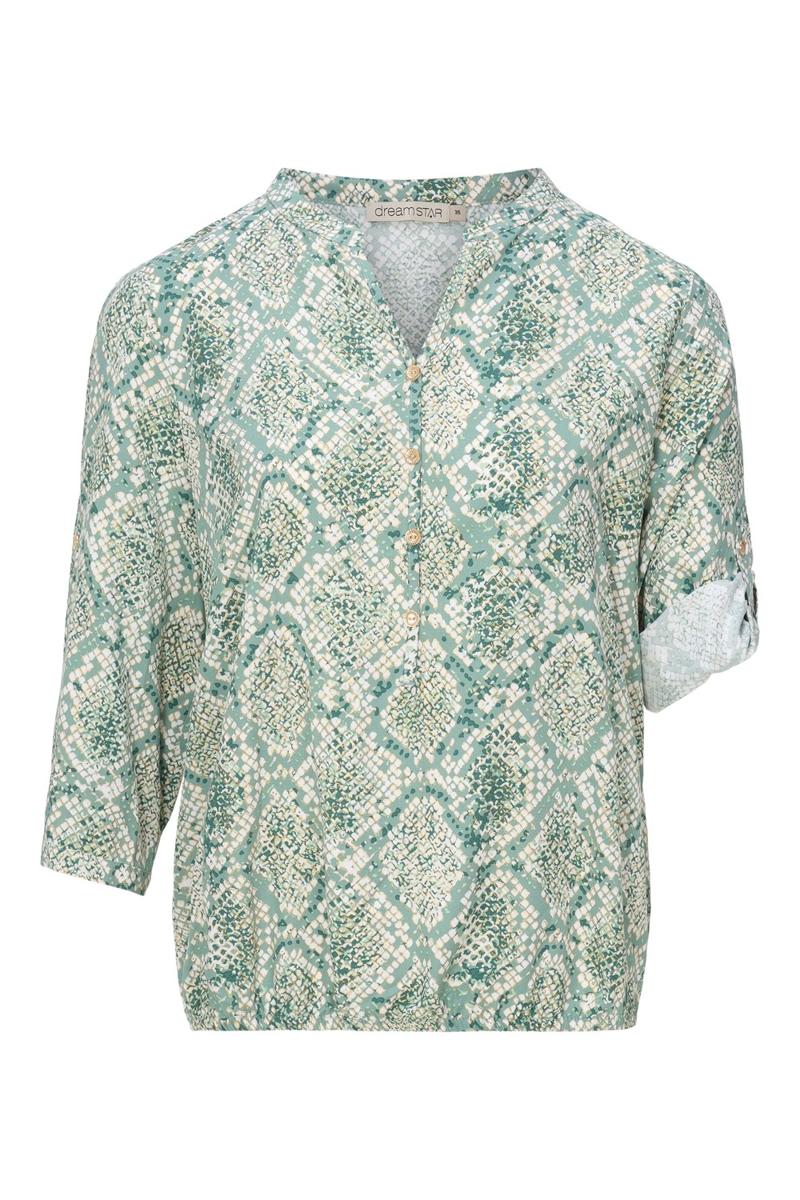 Dreamstar Blouse Maxx Groen 1
