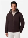 Cavallaro Jas Livomo Bruin 1