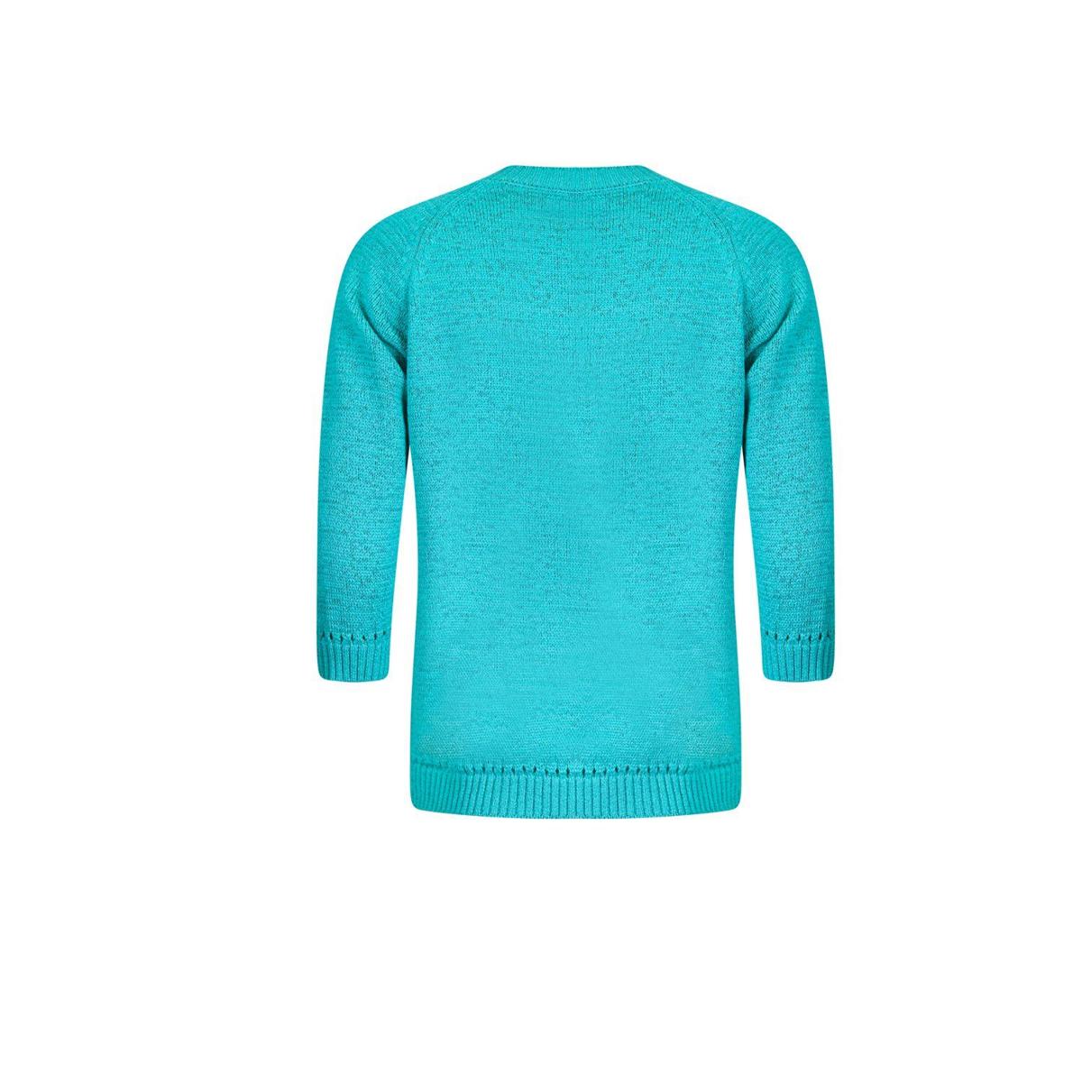 Roberto Sarto Trui 611198 Groen 4