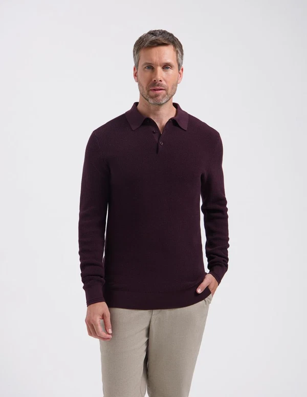 Saint Steve Polo Sander Rood 1