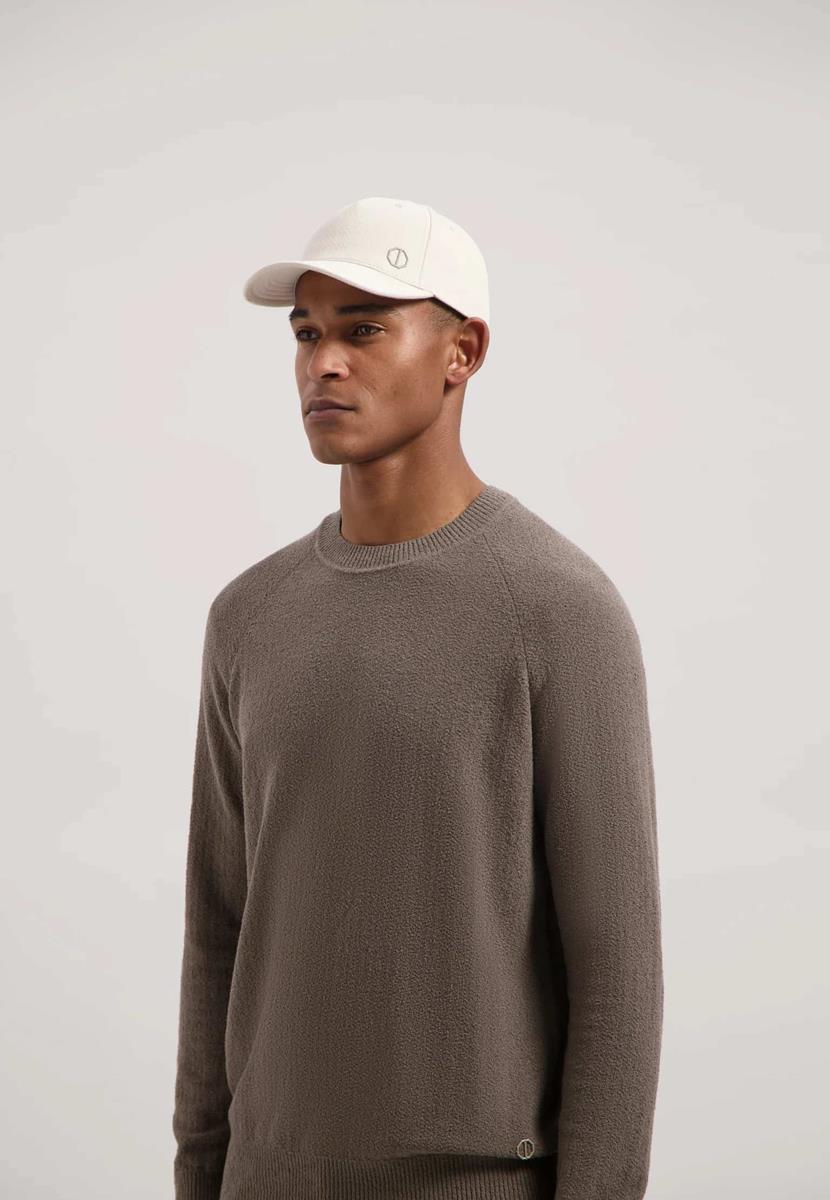 Dstrezzed Pet Crew Beige 4