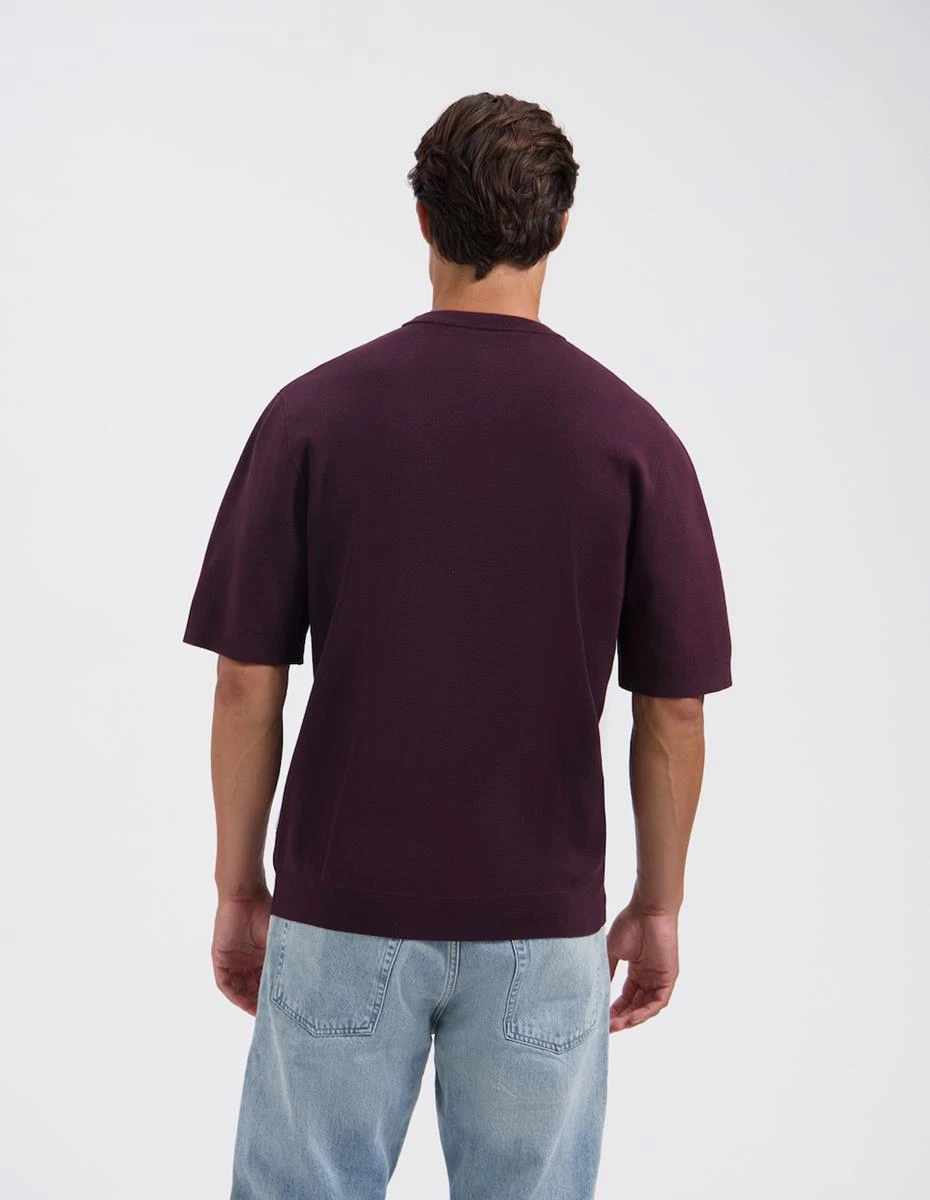 Saint Steve Polo Dinand Rood 3