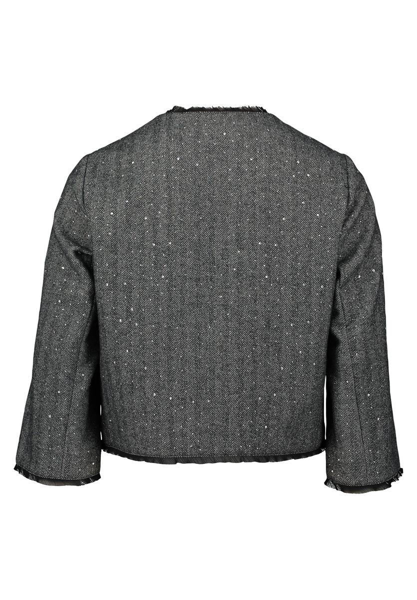 Betty Barclay Blazer 46201632 Grijs 4