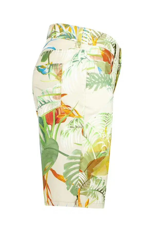 Gardeur Pantalon ZURI132G-A 888 64 Groen 1
