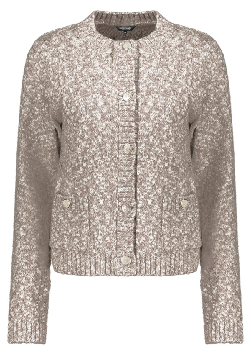 Bloomings Vest SLK434-9083 Bruin 1