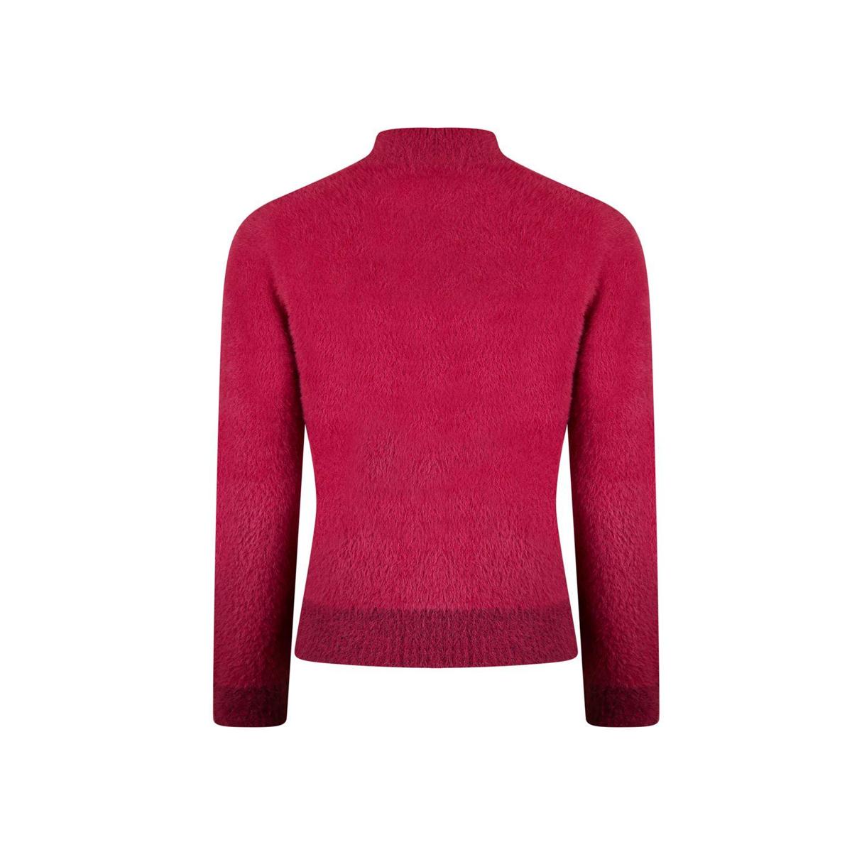 Roberto Sarto Trui 531109 Rood 3