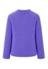 Frank Walder Blazer NOS726316 Paars 2