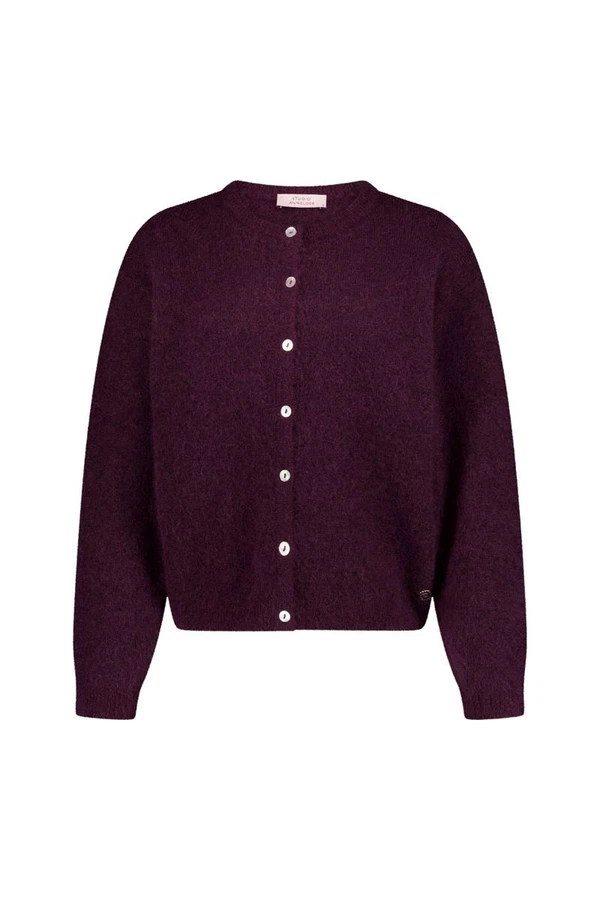 Studio Anneloes Vest Bibi cardigan Paars 1