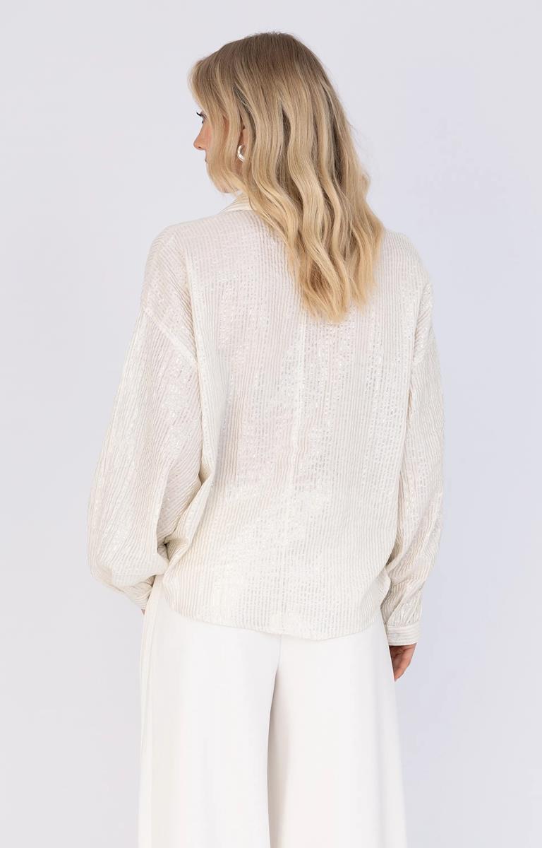 Anna Blouse 28a05-03709 Zilver 3