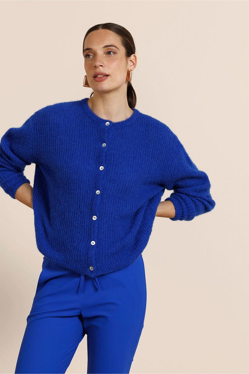 Studio Anneloes Vest Bibi Spring Blauw 1