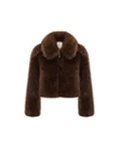 OU. Jack Alpin Bruin 2
