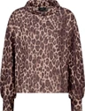 Monari Trui 810097 Bruin 2