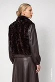 Monari Jack 809997 Bruin 5
