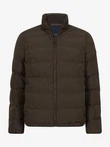 Cavallaro Jas Cevigio Bruin 2