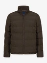 Cavallaro Jas Cevigio Bruin 2