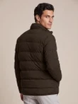 Cavallaro Jas Cevigio Bruin 3