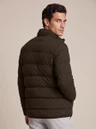 Cavallaro Jas Cevigio Bruin 3