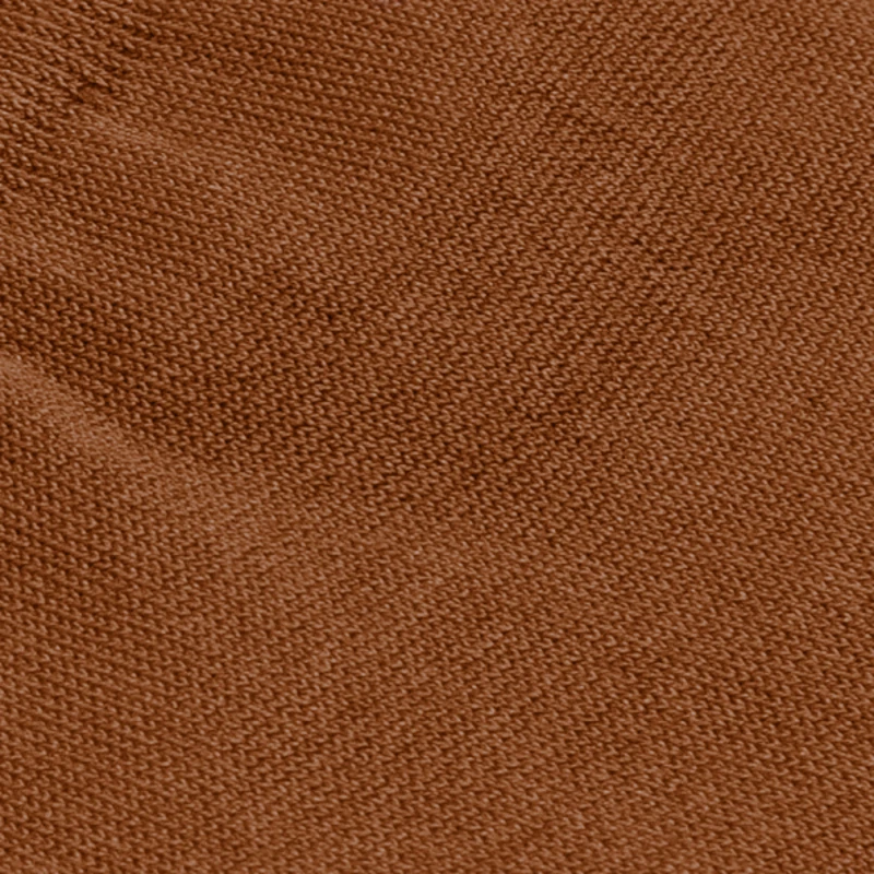 Carlo Lanza Sokken 100 Classico Bruin 6