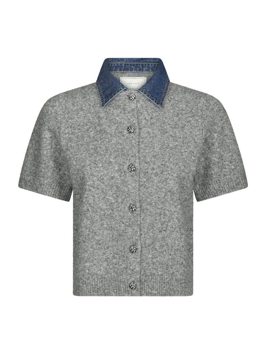 Neo Noir Polo Amoria Grijs 2