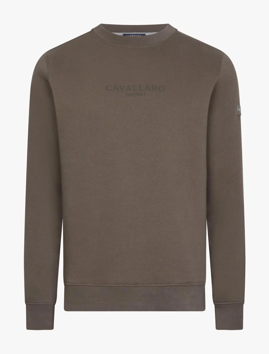 Cavallaro Sweater 120265001 Taupe 2