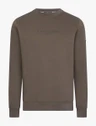 Cavallaro Sweater 120265001 Taupe 2
