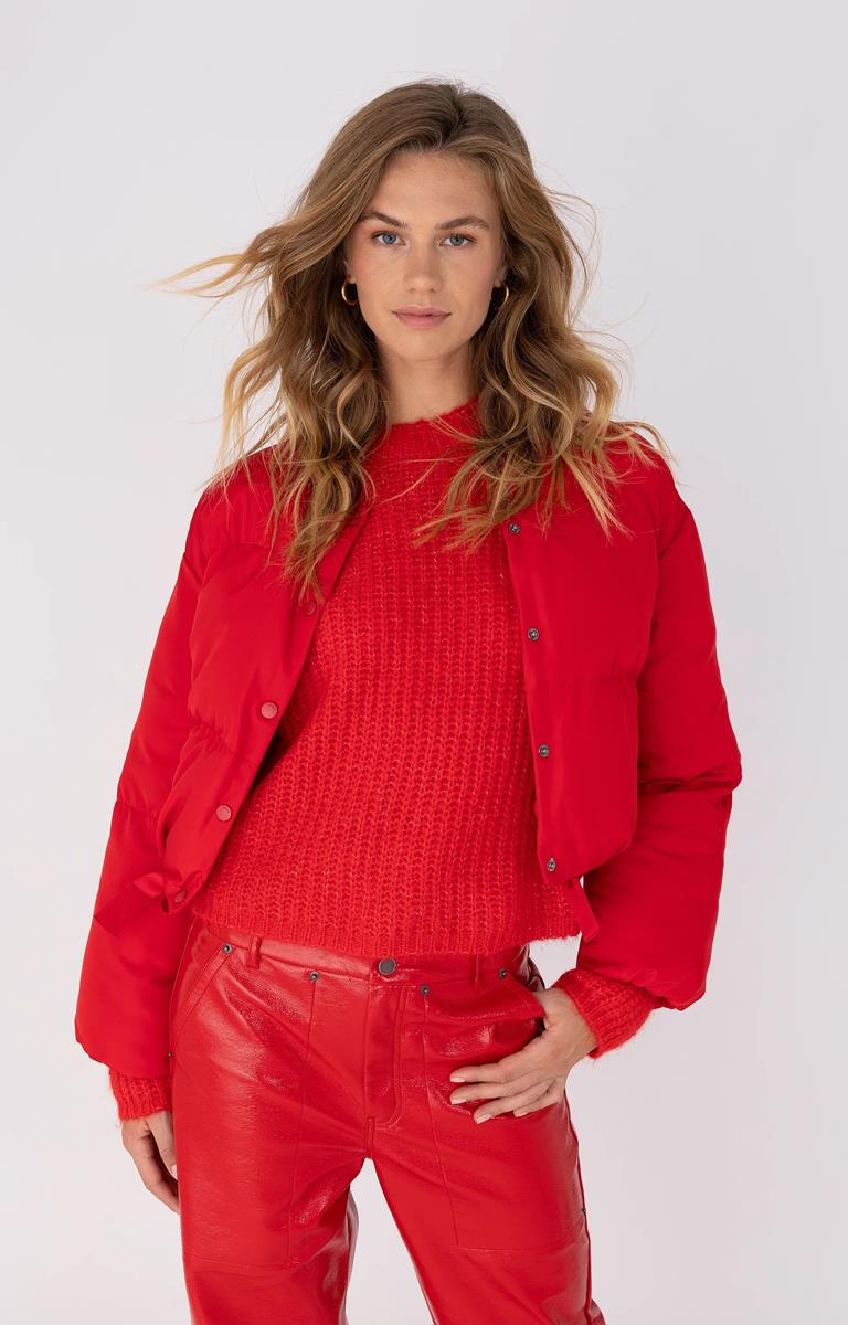 Anna Blazer 92a01-02745 Rood 1