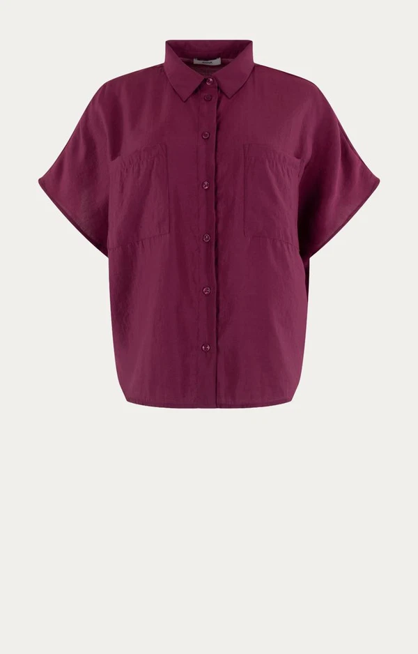 Anna Blouse 43a05-03703 Roze 1