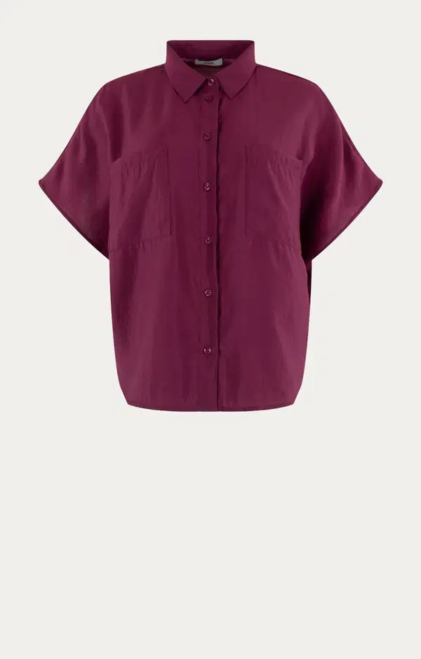 Anna Blouse 43a05-03703 Roze 1