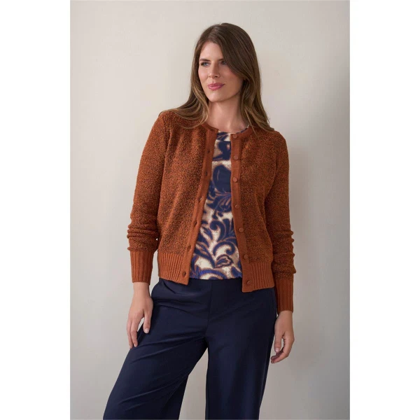 Roberto Sarto Vest 631150 Bruin 1