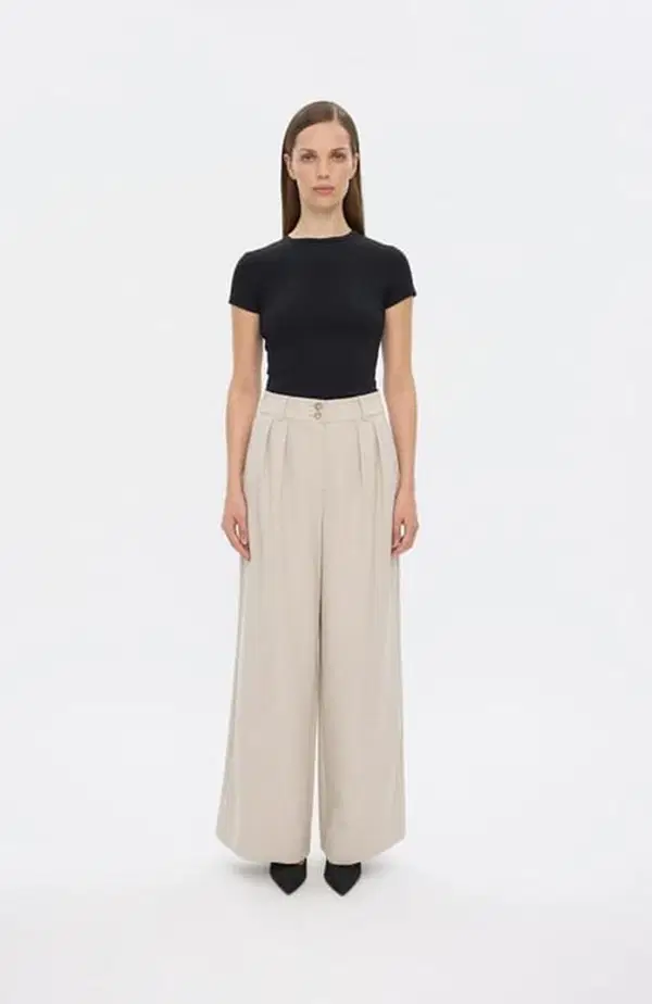 Five Units Pantalon Karen Long Zilver 1