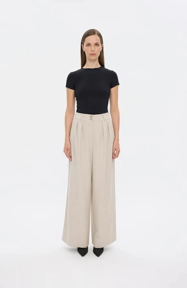 Five Units Pantalon Karen Long Zilver 1