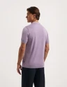 Saint Steve Polo Joachim Paars 3