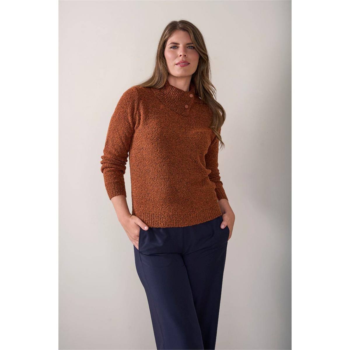 Roberto Sarto Trui 631154 Bruin 6