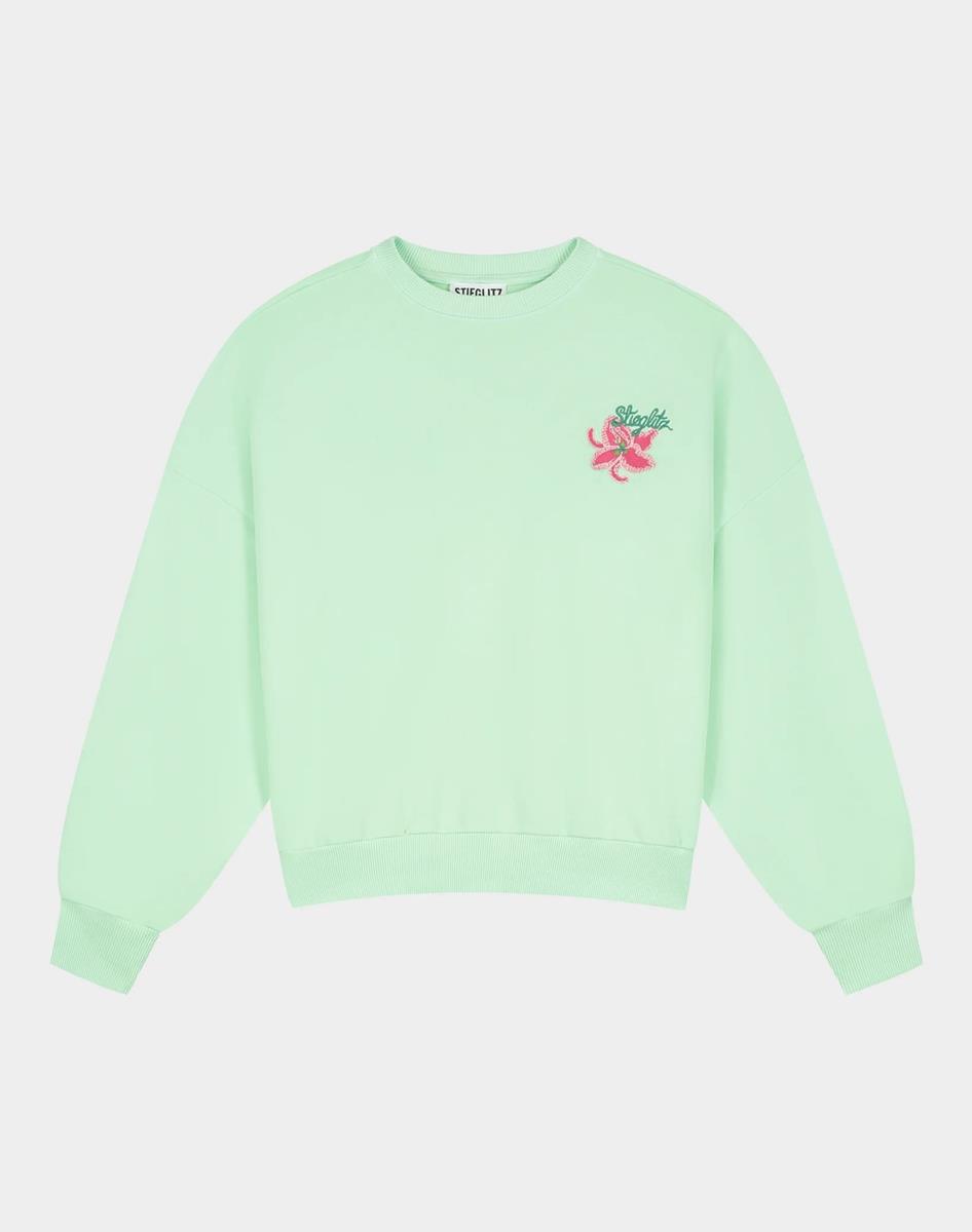 Stieglitz Sweater Novia Groen 2