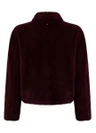 Tramontana Blazer C46-21-801 Rood 1