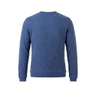 Roberto Sarto Trui 631193 Blauw 4