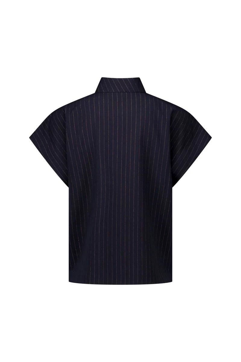 Studio Anneloes Blouse Danni gold stripe Blauw 5