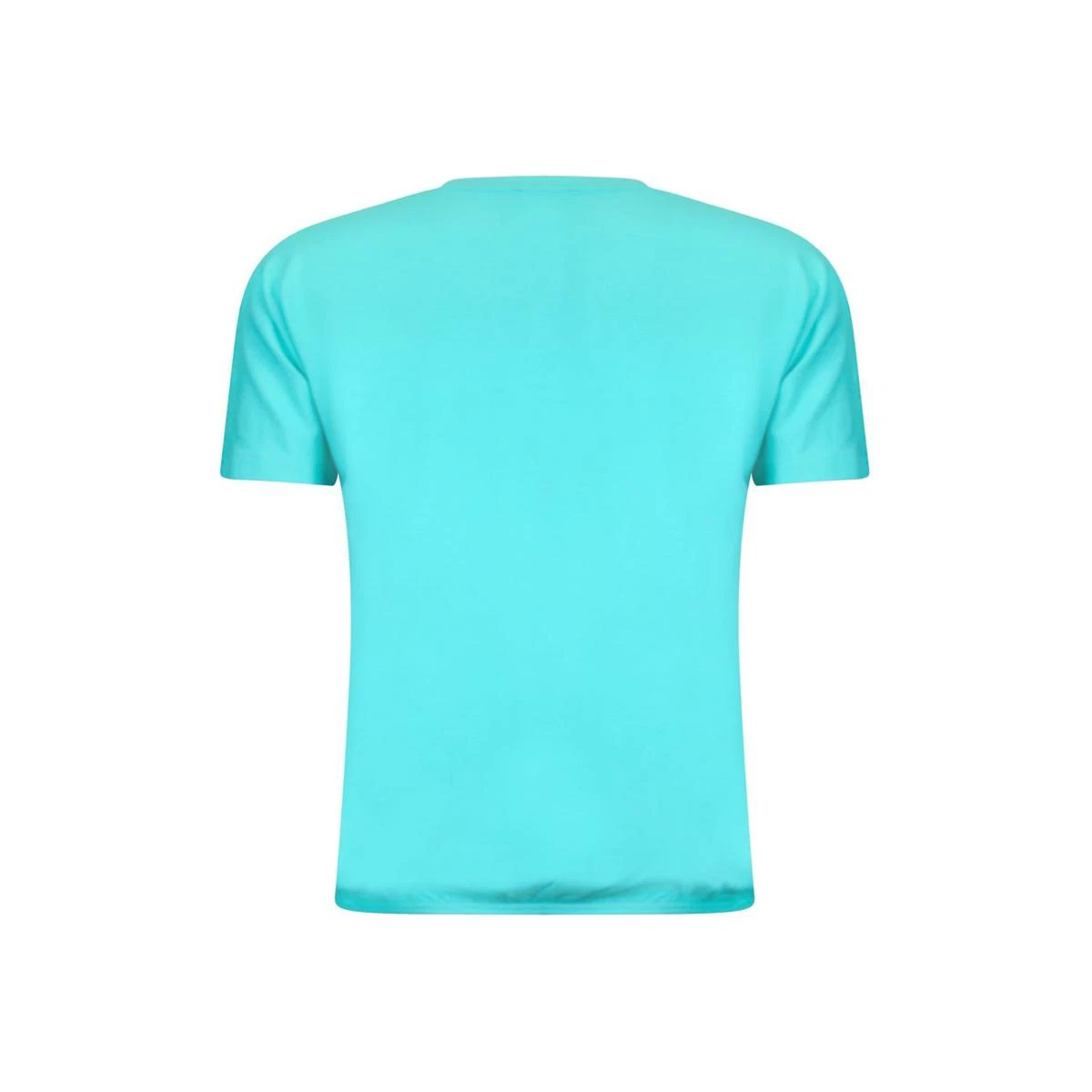Roberto Sarto T-Shirt 611172 Groen 3