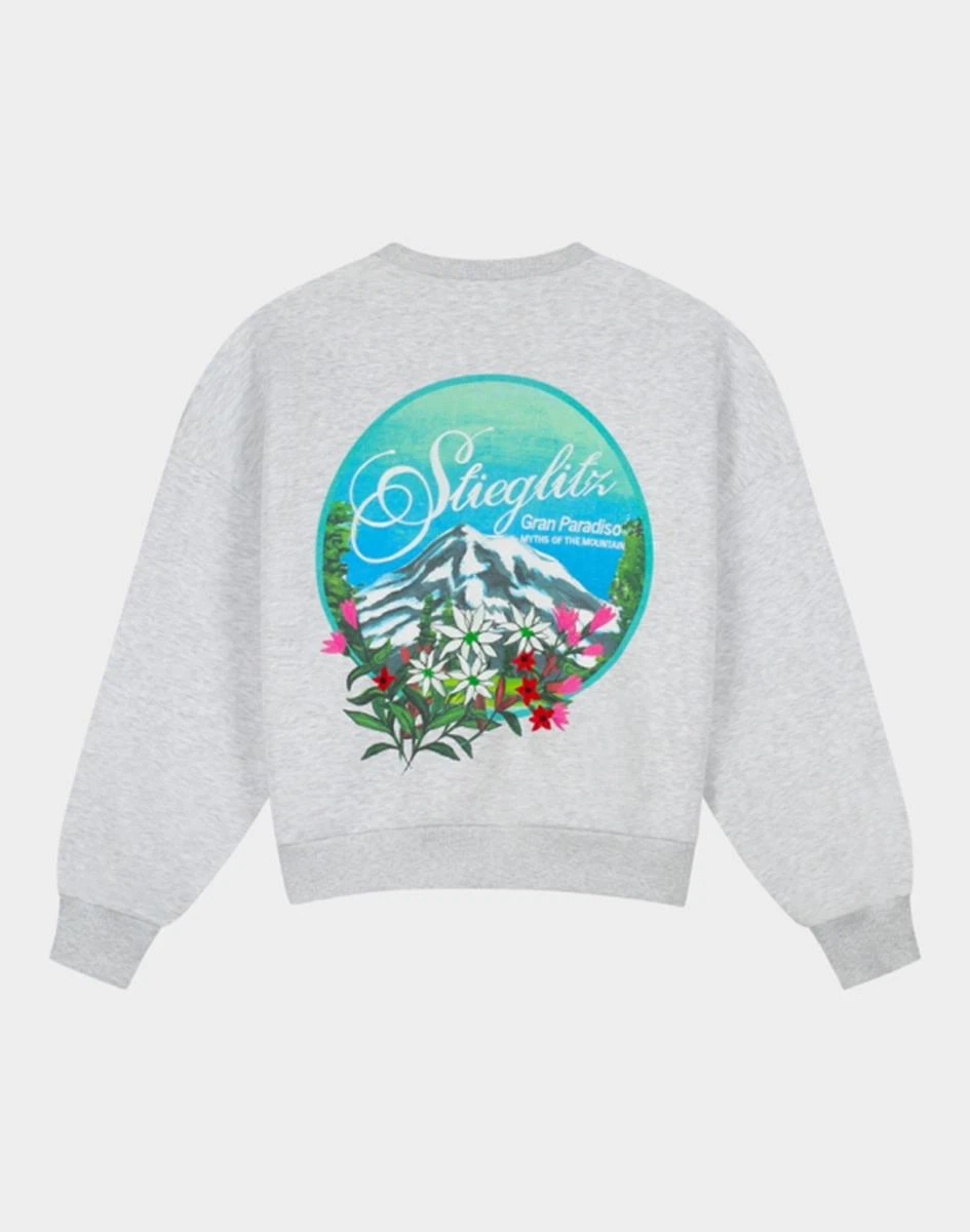 Stieglitz Sweater Silvia Grijs 3