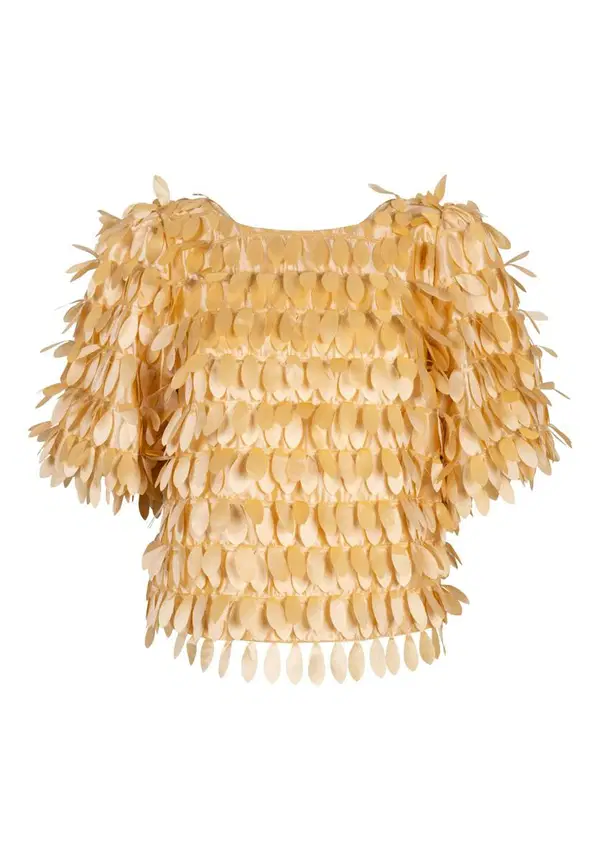 Aaiko Blouse ANGELINA PES 526 Bruin 1